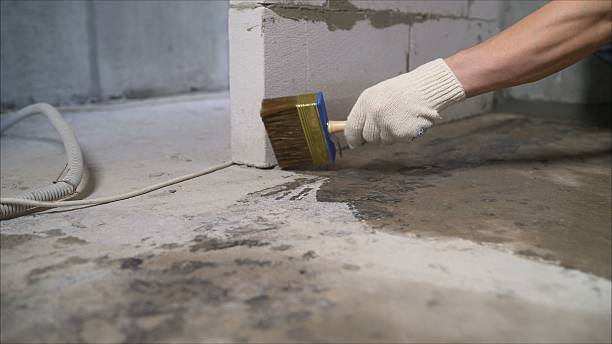 24/7 Emergency Emergency Waterproofing experts in Maryville, TN